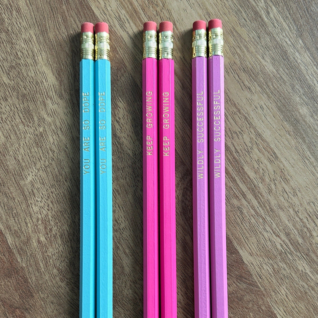 Wildly Successful Hex Pencil - 5 Pack